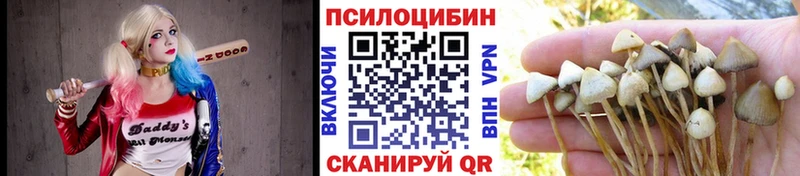 Галлюциногенные грибы прущие грибы  закладка  Урень 